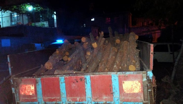 Ormandan ağaç kesen kişiye suçüstü