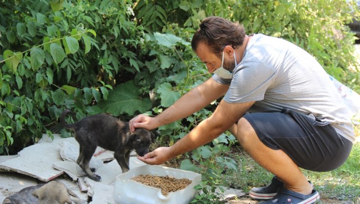 Ormanlara girişler yasaklanınca hayvanlar için harekete geçtiler