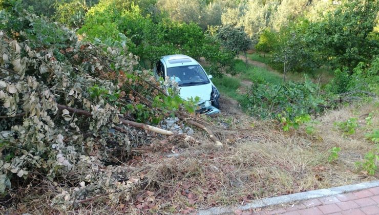 Otomobil bahçeye uçtu