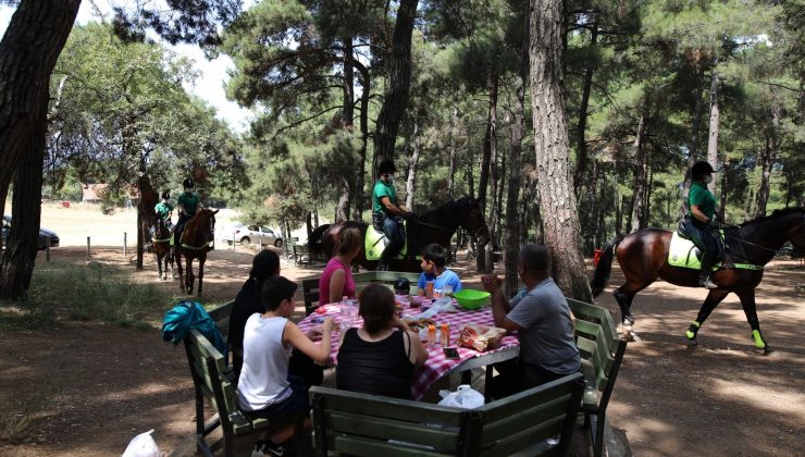 Bursa’nın ormanları onlara emanet