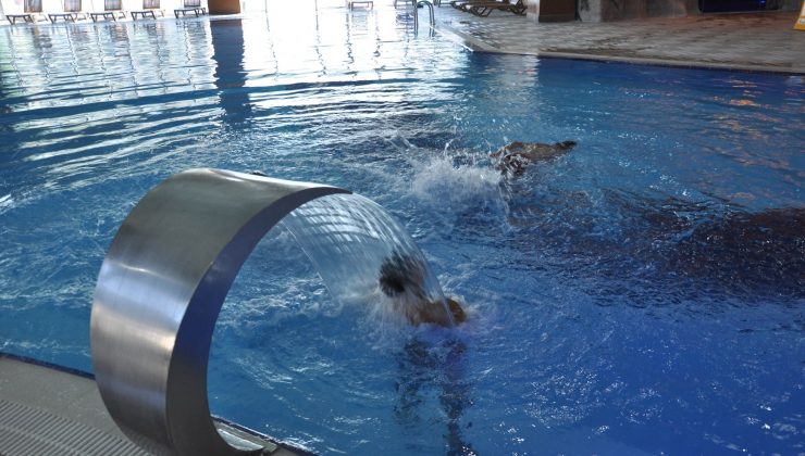 Pandemiyle birlikte Türkiye’de termal turizm alışkanlıkları da değişti