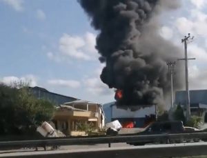 Parke fabrikasında yangın