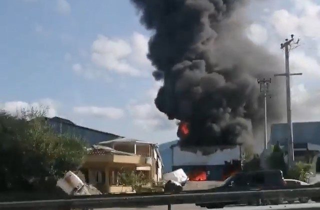 Parke fabrikasında yangın