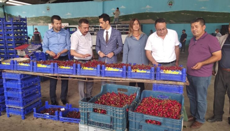 Pazarlar kirazı, “Kütahya Pazarlar Kirazı” olarak tescillendi