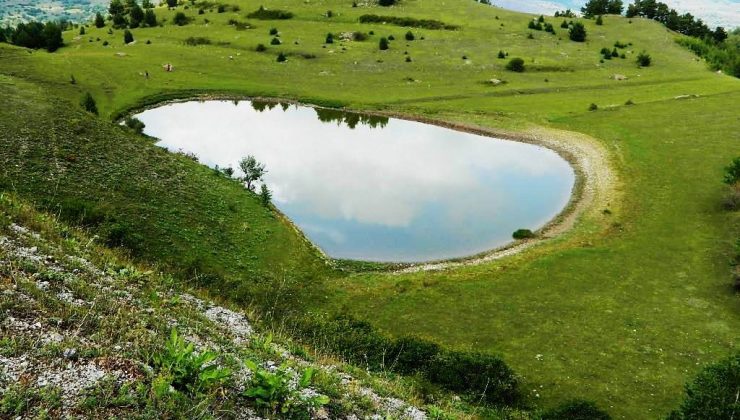 Posof özlenen doğasına Ağustos’ta kavuştu