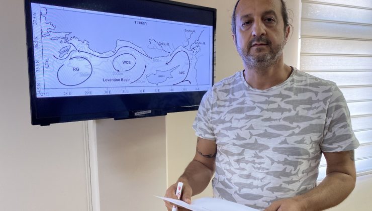 Prof. Dr. Turan: “Petrol sızıntısı İskenderun Körfezini de tehdit edebilir”