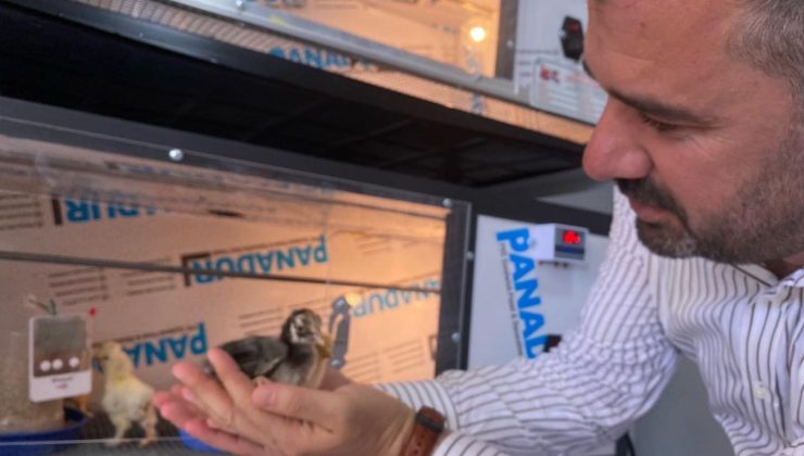 Pursaklar Belediyesi tarafından ’Kuluçka ve Ana Kucağı Tesisi’ hayata geçirildi