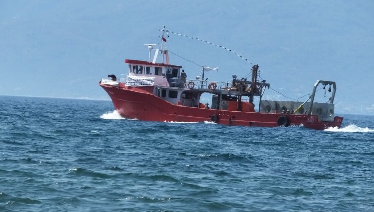 Resifler Edremit Körfezinde balık çeşidini ve sayısını artıracak