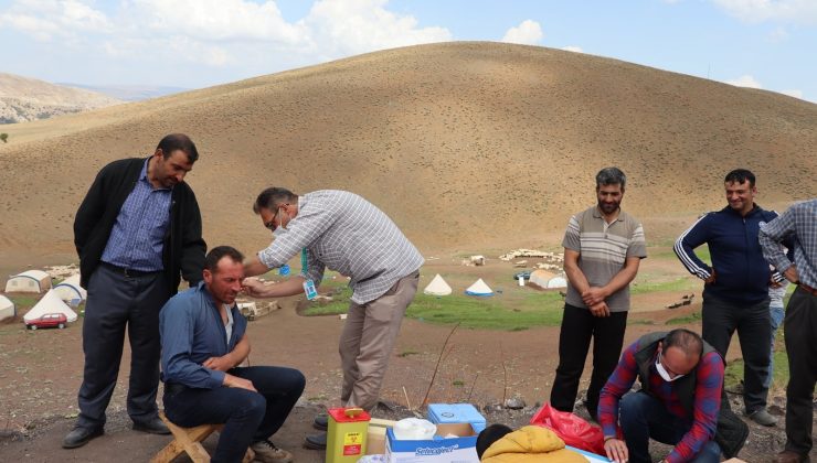 Sağlık ekipleri yaylada vatandaşlara Covid-19 aşısı uyguluyor