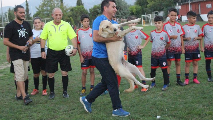 Sahaya girdi, maçın başlamasına izin vermedi