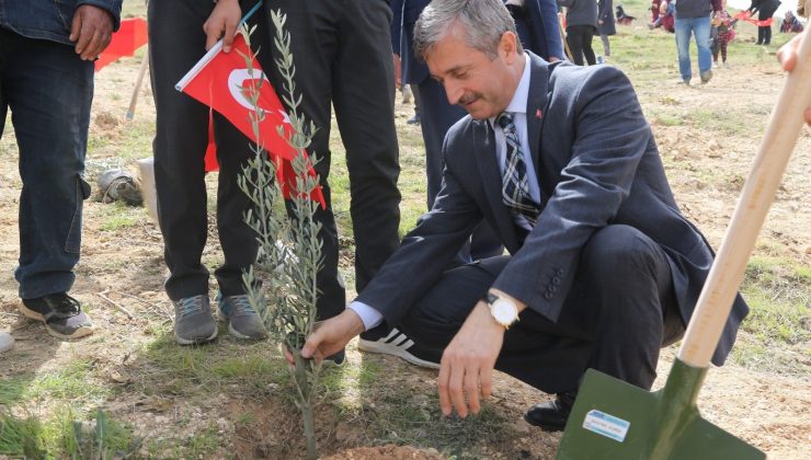 Şahinbey Belediyesi yeşil alan miktarını arttırdı