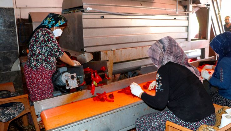 Salça imalathanelerinde yoğun mesai