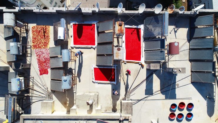 Adana’da damlar kırmızıya boyanıyor