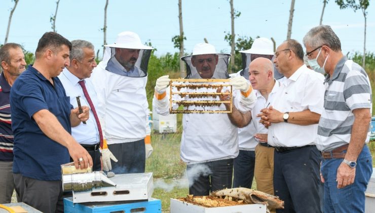 Samsun’da arıcılığa destek