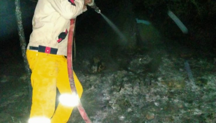 Samsun’da küçük çaplı örtü yangını söndürüldü