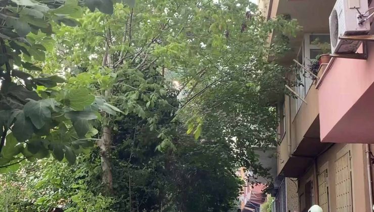 Sarıyer’de kopan elektrik kablosu alev aldı