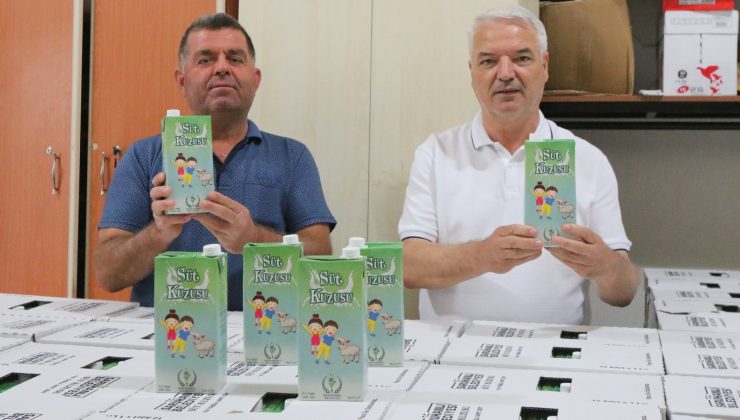 Saruhanlı Belediyesinin ’Süt Kuzusu’ Projesi başladı