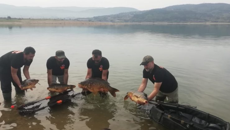 Sazan balığı tutma yarışı 6 Eylül’de başlayacak