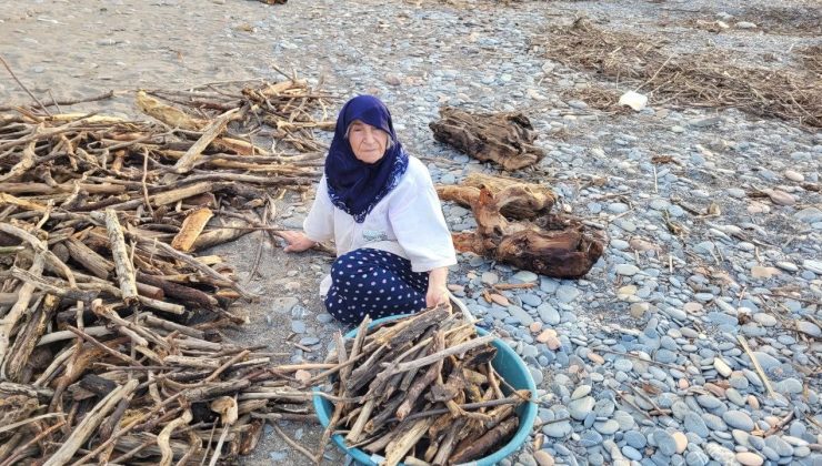 Sahile vuran odunları vatandaşlar topluyor