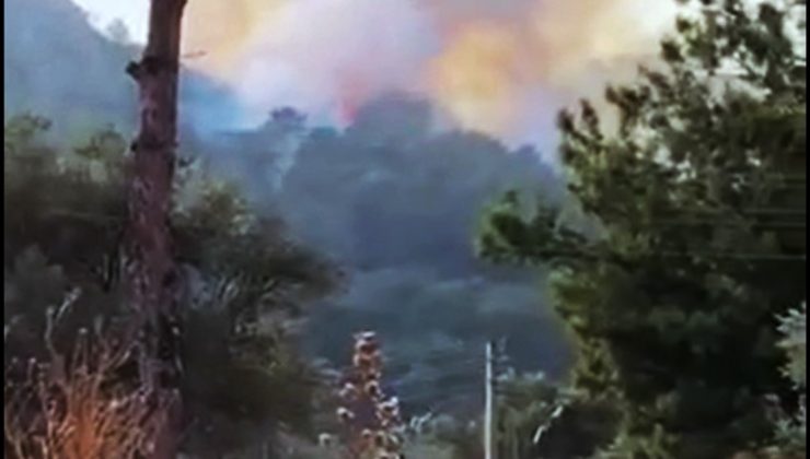 Seydikemer’de orman yangını başladı