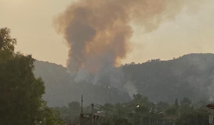 Seydikemer’de orman yangını