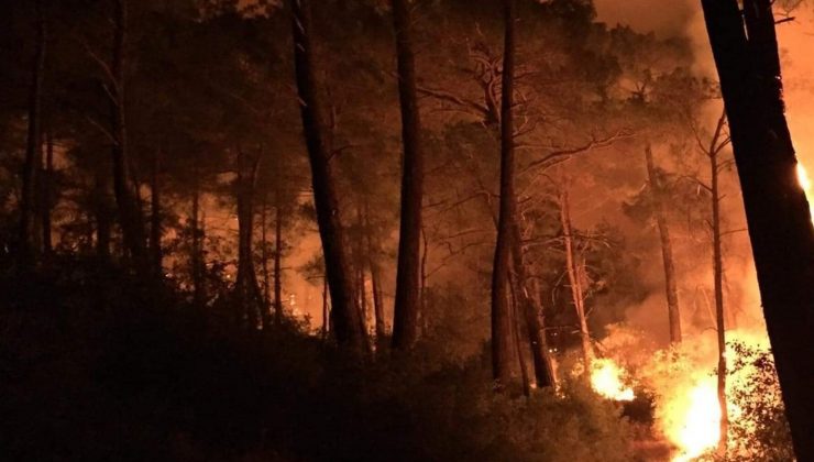 Seydikemer’de üç ayrı noktada orman yangını çıktı