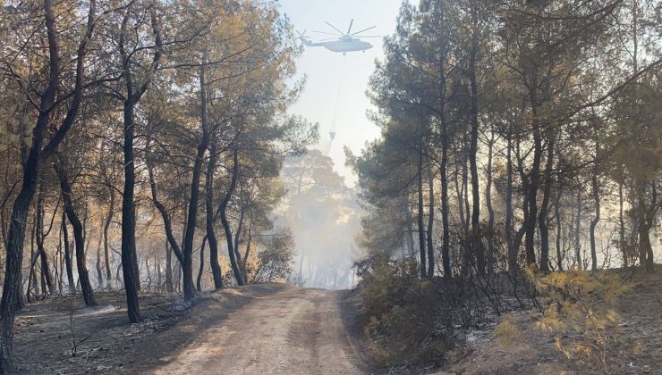 Seydikemer’deki yangın kontrol altına alındı