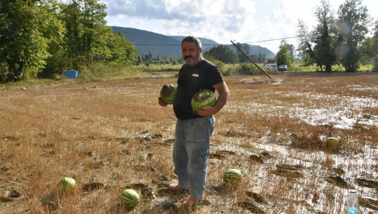 Sinop’ta yaşanan sel felaketi karpuz tarlasını da vurdu