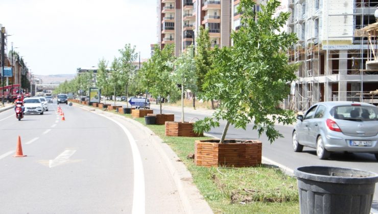 Sivas Belediyesi’nin ağaçlandırma çalışmaları devam ediyor