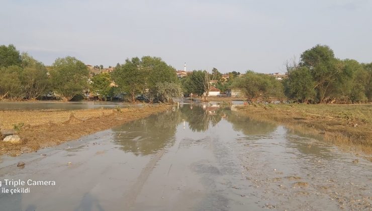 Sivrihisar’da sel hayvanları ve tarlaları vurdu
