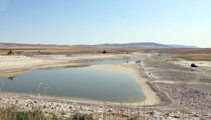 Sulama göletinde su kalmayınca balıkçılar akın etti
