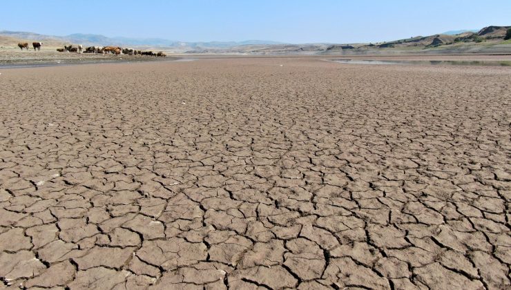Suların çekildiği baraj alarm veriyor, yürüyüş alanına döndü