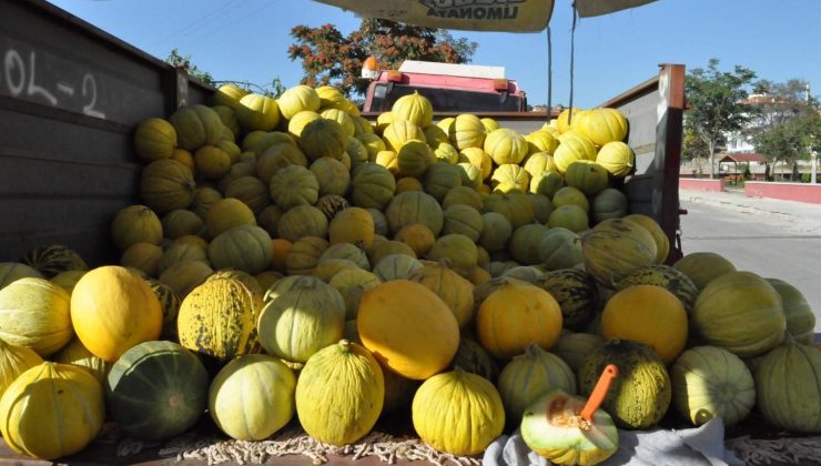Sungurlu’nun 10 dilim kavunu tezgahlarda yerini aldı