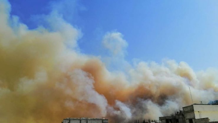 Suriye’deki orman yangını yerleşim bölgelerine yaklaştı