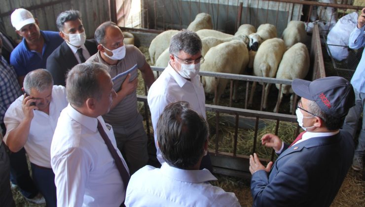 TAGEM Genel Müdürü Dr. Nevzat Birışık: “Hedefimiz dünyaya damızlık hayvan satışı yapmak”