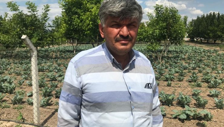 Tarlam temizlensin derken verimden olmayın