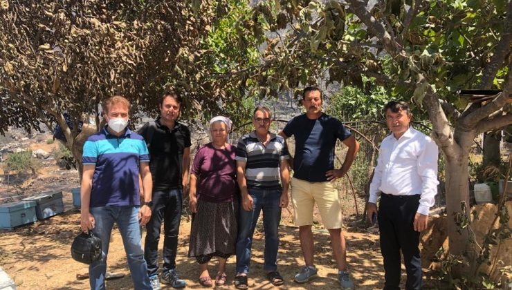 TARSİM Heyeti, Köyceğiz ve Marmaris’te incelemelerde bulundu