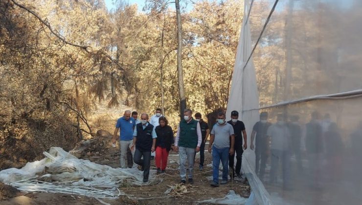 TARSİM’den Mersin, Antalya ve Muğla’ya ziyaret