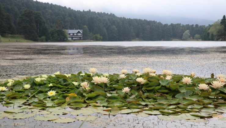 Tatilciler serinleyen havanın tadını Gölcük’te çıkardı
