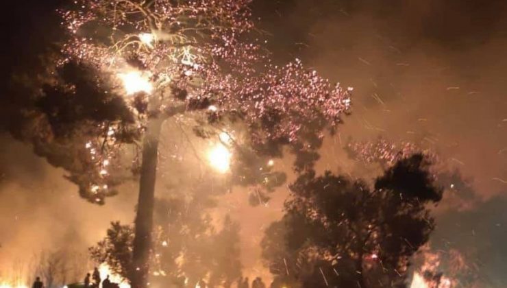 Tavaklı köyünde orman yangını yeniden başladı