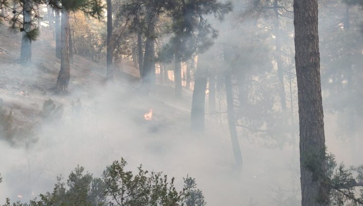 Tavas’taki yangın kısmen kontrol altına alındı