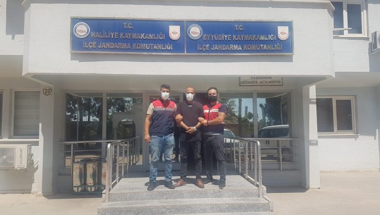 Terör örgütü üyesi operasyonla yakalandı