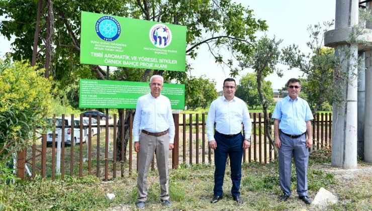 Tıbbi ve aromatik bitkiler bahçesi örnek olacak