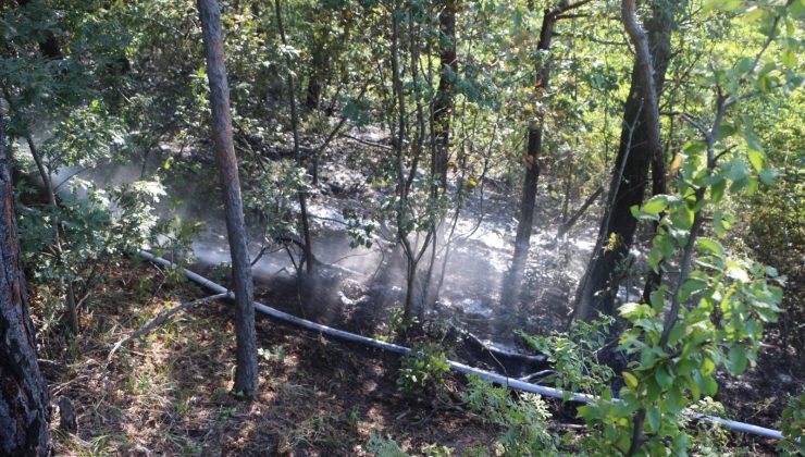 Tokat’ta, ormanlık alanda yangın