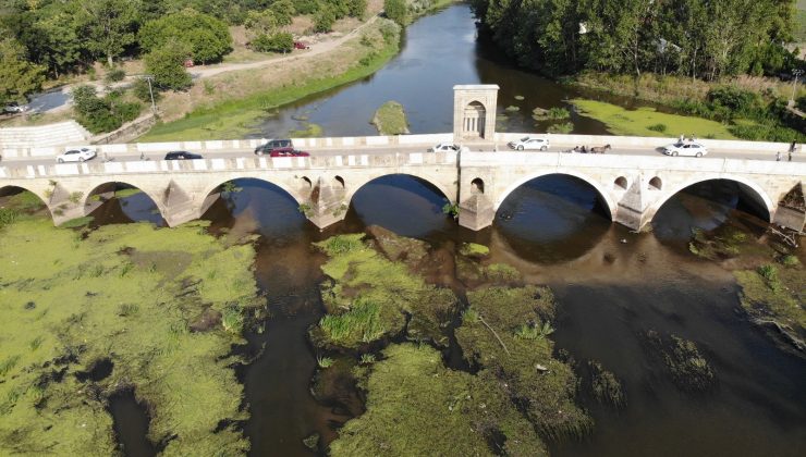 Tunca Nehri çöp ve yosunlarla kaplandı