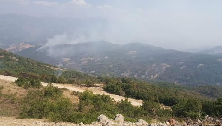 Tunceli’deki orman yangınında soğutma çalışmaları sürüyor