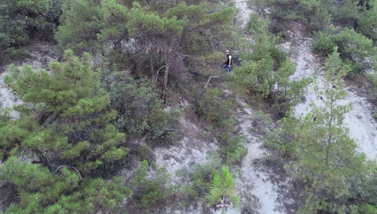 Türkiye’nin en değerli ormanları hem drone hem de yaya olarak denetleniyor