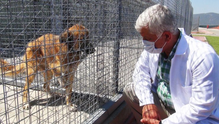 TVHB Başkanı Eroğlu: “Veteriner hekimlerimiz canla başla çalışıyor”