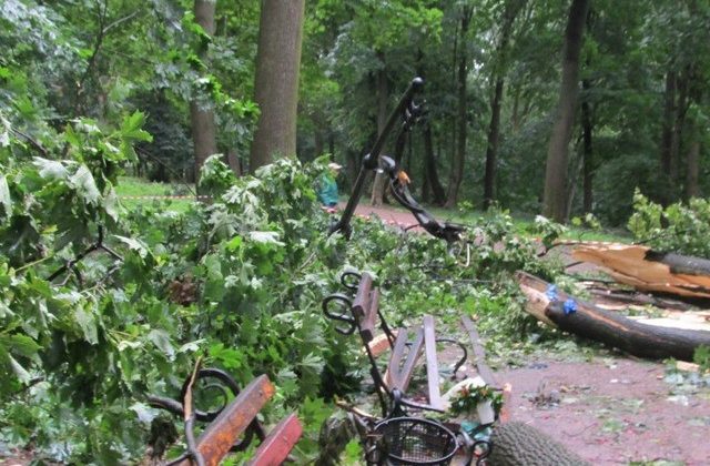 Ukrayna’da fırtınada bankta oturanların üstüne ağaç devrildi: 2 ölü