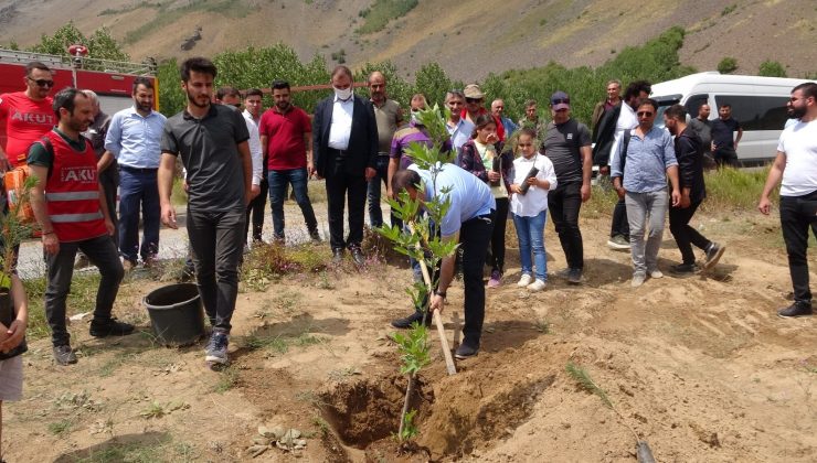 Nemrut Dağı’nda ağaç dikimi gerçekleştirildi
